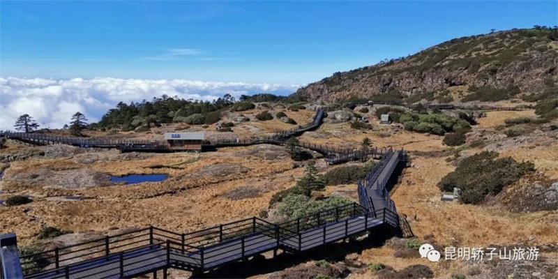 轿子山大索道：跨越式提升 打造轿子山全域旅游新形态！